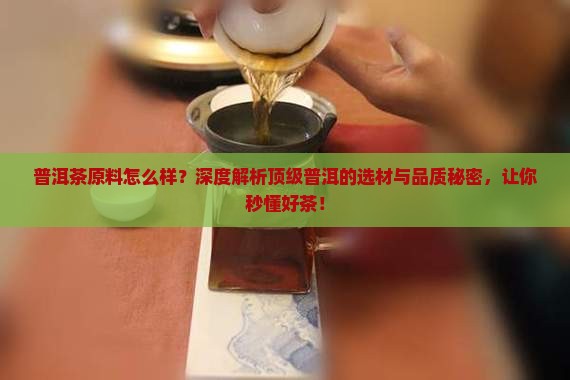 普洱茶原料怎么样