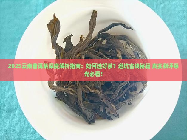 云南普洱茶深度解析