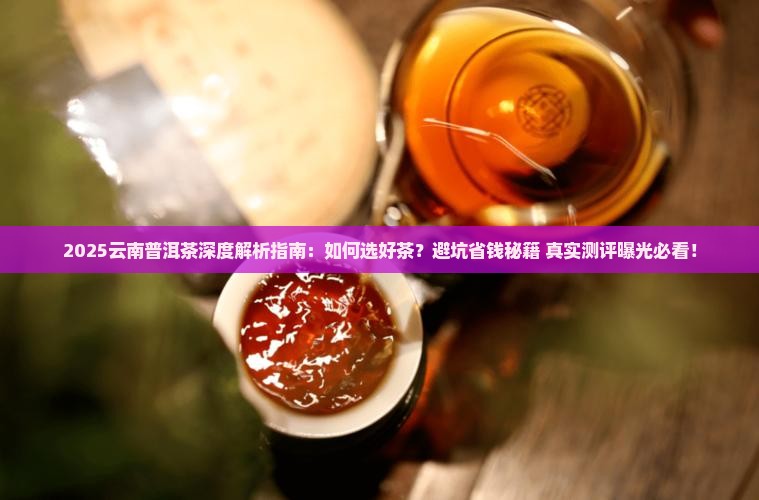 云南普洱茶深度解析
