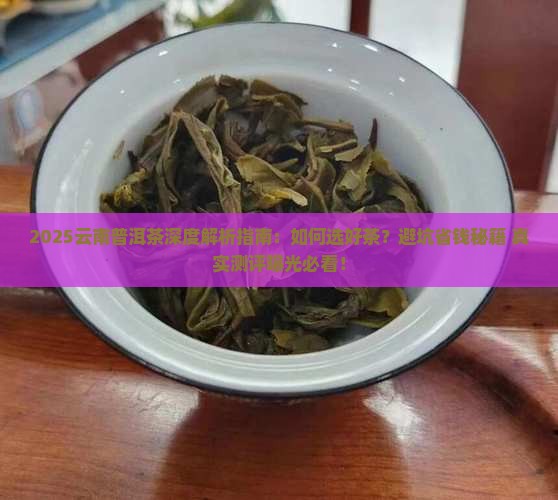 云南普洱茶深度解析