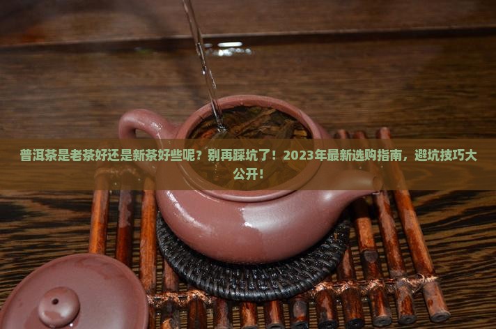 普洱茶是老茶好还是新茶好些呢