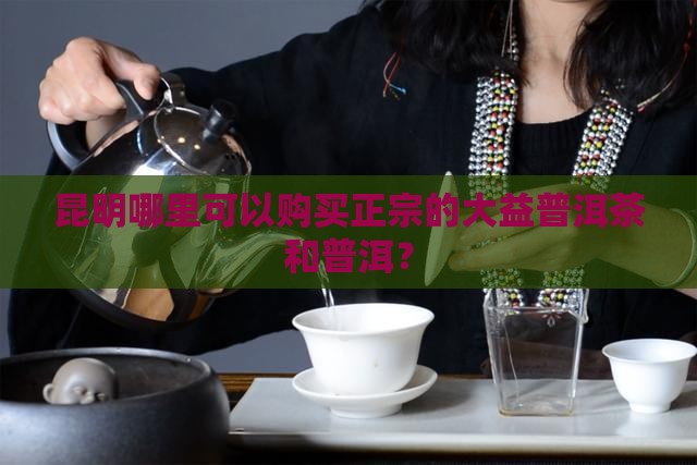 昆明哪买大益普洱茶