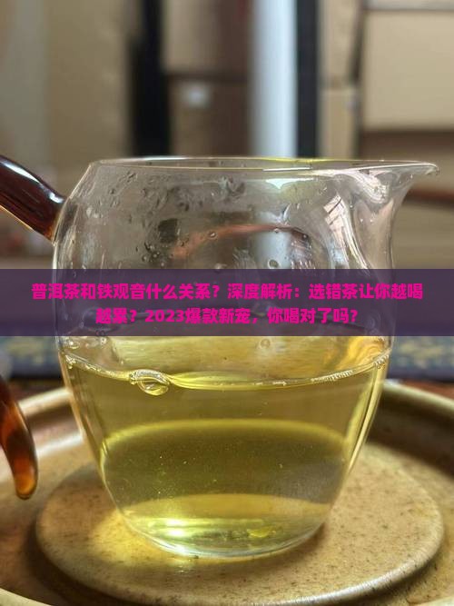 普洱茶和铁观音什么关系