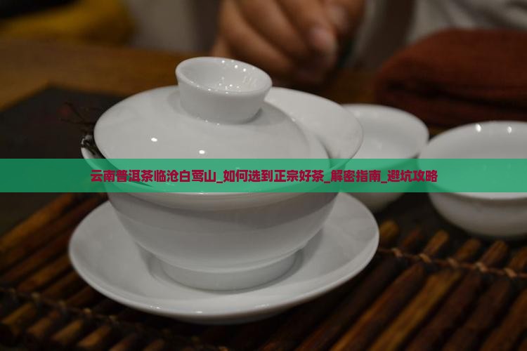 云南普洱茶临沧白莺山