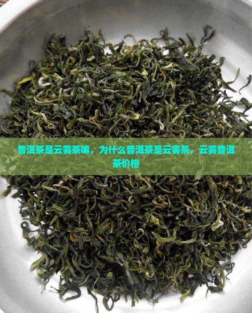 普洱茶是云雾茶嘛