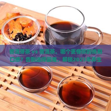 普洱芽茶喝普洱茶哪个好