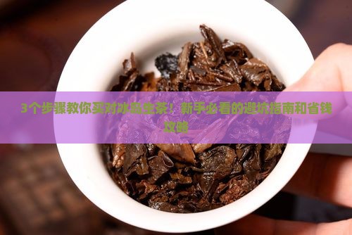 冰岛生茶怎么买