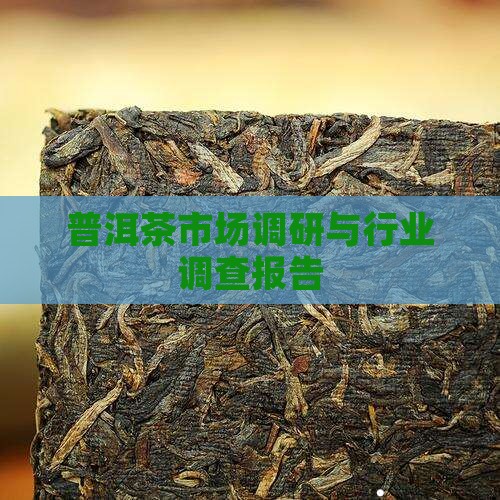 普洱茶调查文件