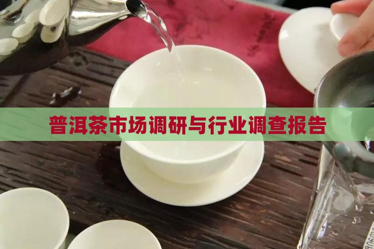 普洱茶调查文件