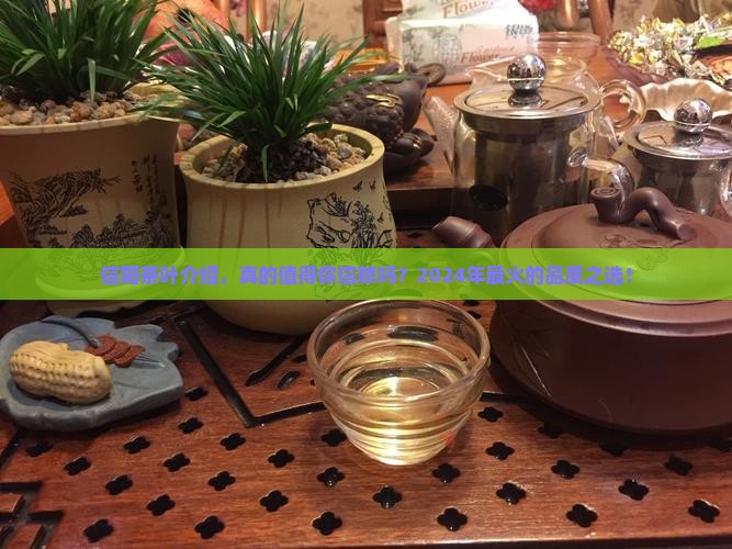 信阳茶叶品牌介绍
