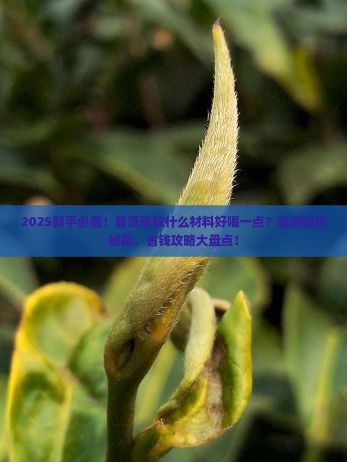 普洱茶放什么材料好喝一点