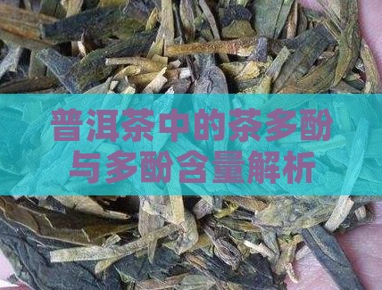 普洱茶到底有没有茶多酚