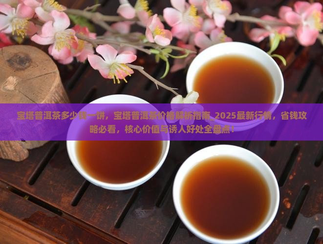宝塔普洱茶多少钱一饼