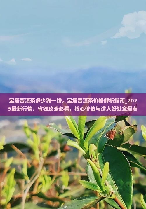 宝塔普洱茶多少钱一饼