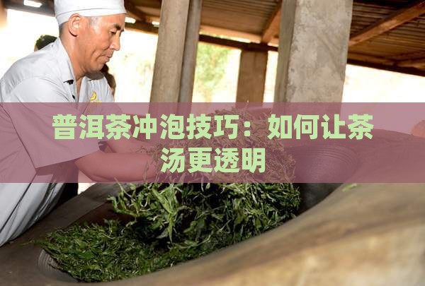 普洱茶怎么泡才透明的茶叶