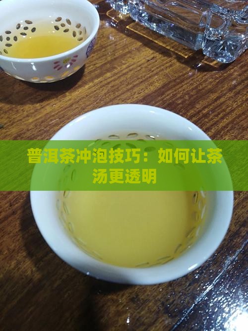 普洱茶怎么泡才透明的茶叶