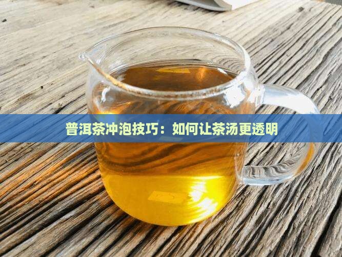 普洱茶怎么泡才透明的茶叶