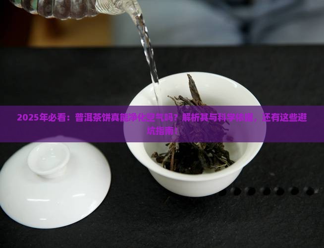 普洱茶饼能净化空气吗为什么