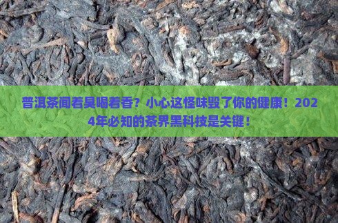 普洱茶闻着臭喝着香