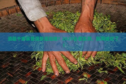 滇馥千家寨普洱茶是贴牌吗