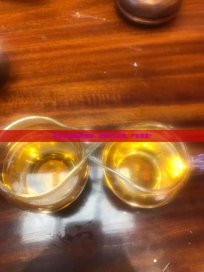 普洱茶来自西双版纳