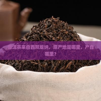 普洱茶来自西双版纳