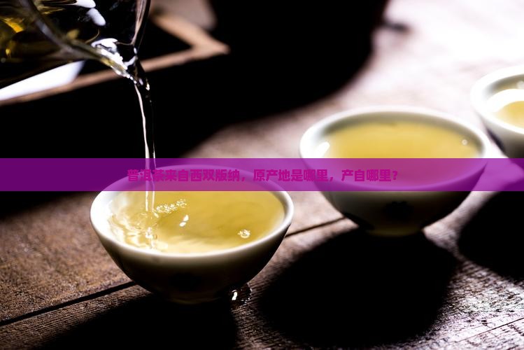 普洱茶来自西双版纳