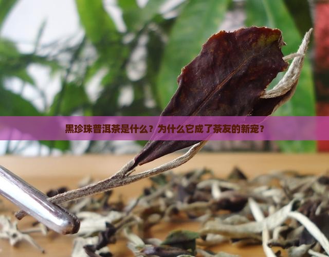 黑珍珠普洱茶是什么意思