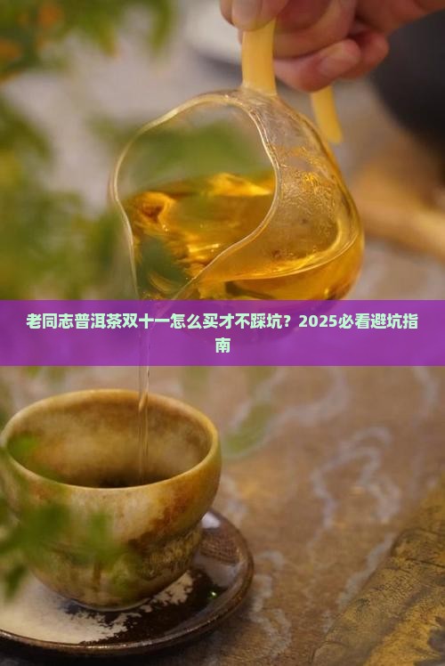 老同志普洱茶双十一