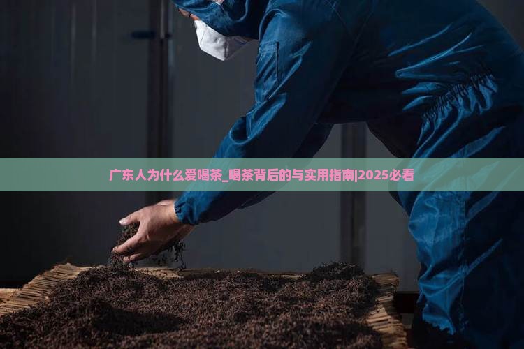 广东人为什么爱喝茶