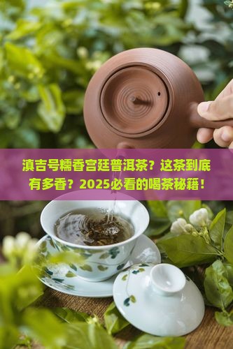 滇吉号糯香宫廷普洱茶