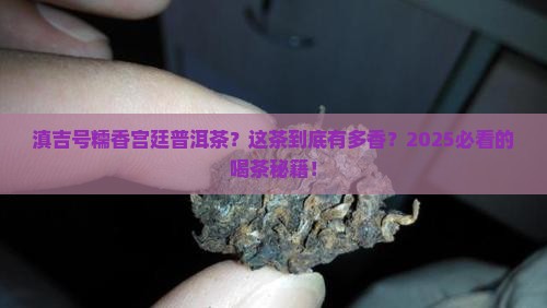 滇吉号糯香宫廷普洱茶