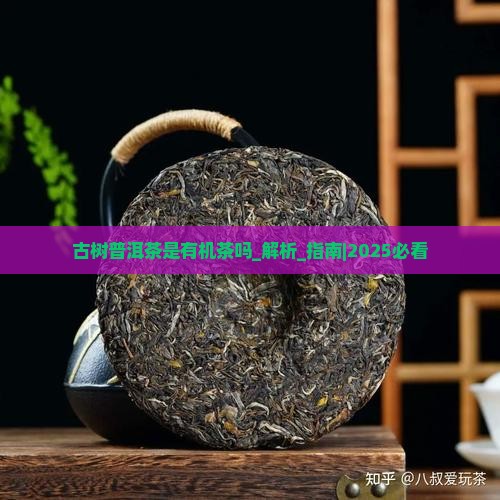 古树普洱茶是有机茶吗