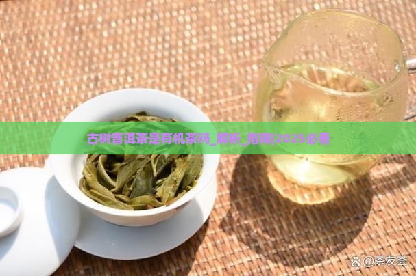 古树普洱茶是有机茶吗