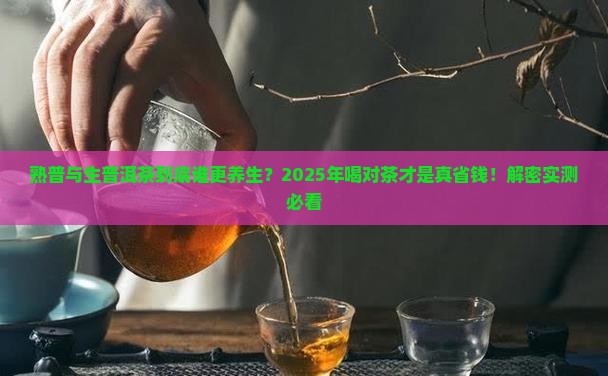 熟的普与生普洱茶的功效