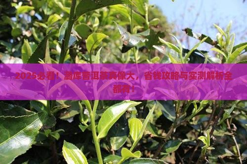 潞库普洱茶的特点