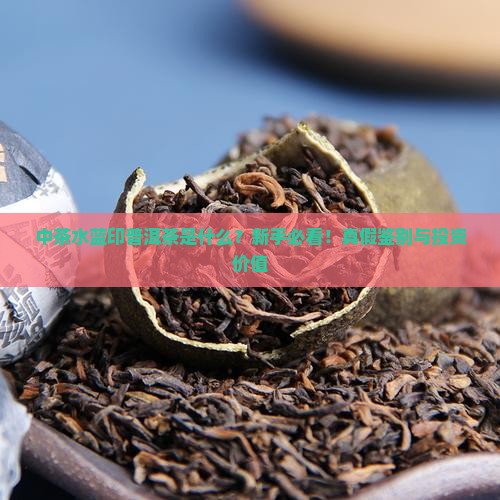 中茶水蓝印普洱茶是什么意思