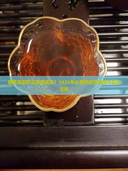 现在普洱茶哪里好买到正宗的 现在普洱茶哪里好买到正宗的