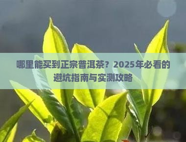 现在普洱茶哪里好买到正宗的 现在普洱茶哪里好买到正宗的