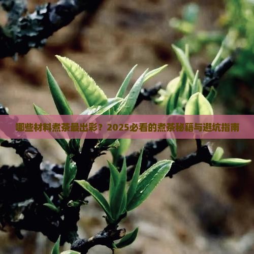 适合煮茶的材料