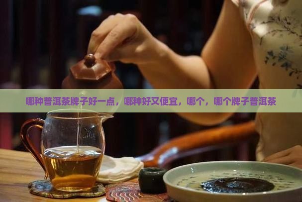 哪种普洱茶牌子好一点
