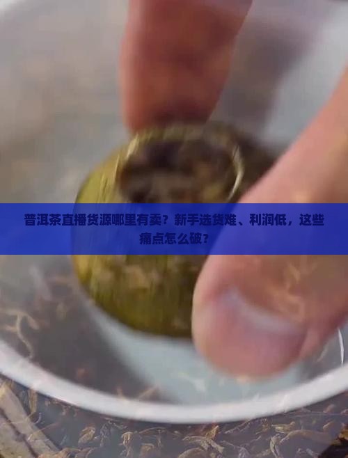 普洱茶直播货源哪里有卖 普洱茶直播货源哪里有卖