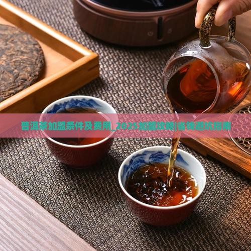普洱茶加盟条件及费用
