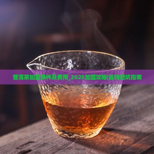 普洱茶加盟条件及费用