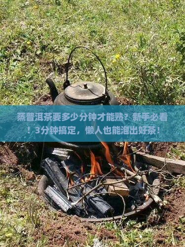 蒸普洱茶要多少分钟才能熟