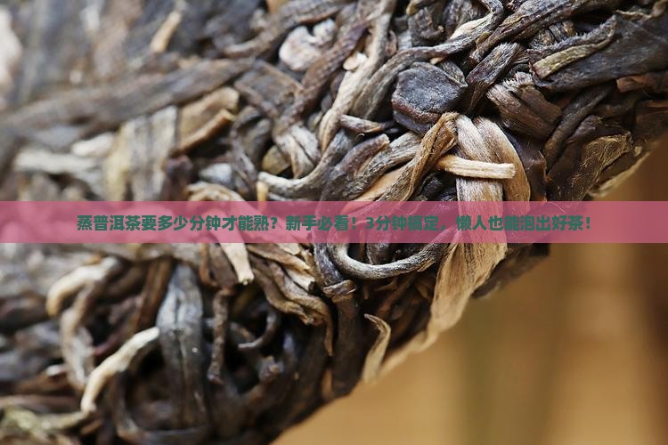 蒸普洱茶要多少分钟才能熟