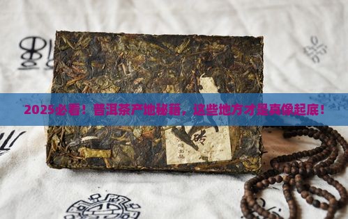 普洱茶的生产地是哪儿的