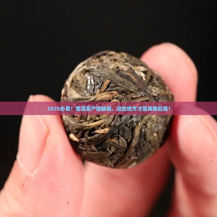 普洱茶的生产地是哪儿的