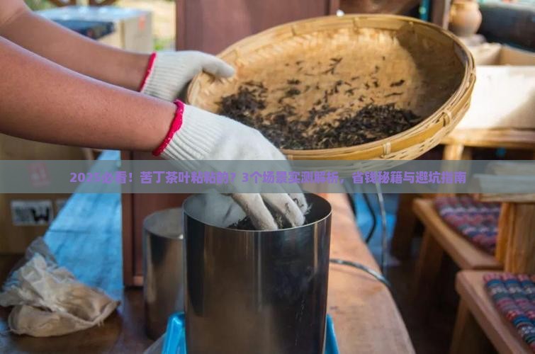 苦丁茶叶粘粘的