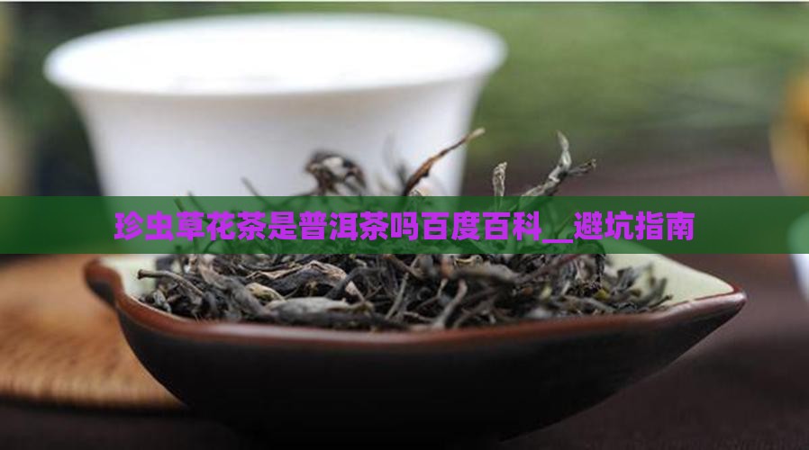 珍虫草花茶是普洱茶吗百度百科